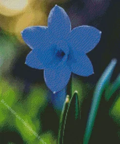 Blue Daffodil Diamond Painting