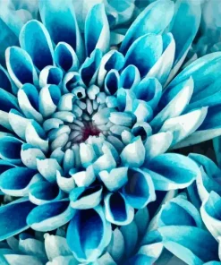 Blue Dahlia Diamond Painting