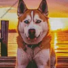 Blue Eye Husky Diamond Painting
