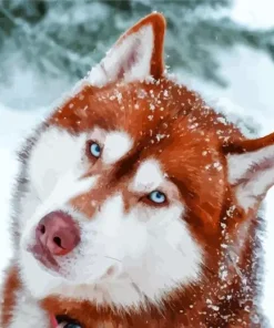 Blue Eyed Brown Husky Diamond Painting