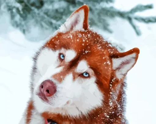 Blue Eyed Brown Husky Diamond Painting