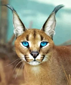 Blue Eyed Caracal Diamond Painting