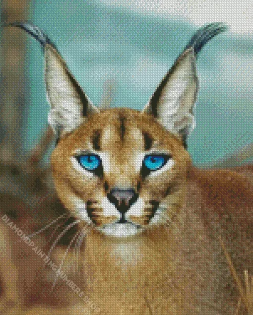 Blue Eyed Caracal Diamond Painting