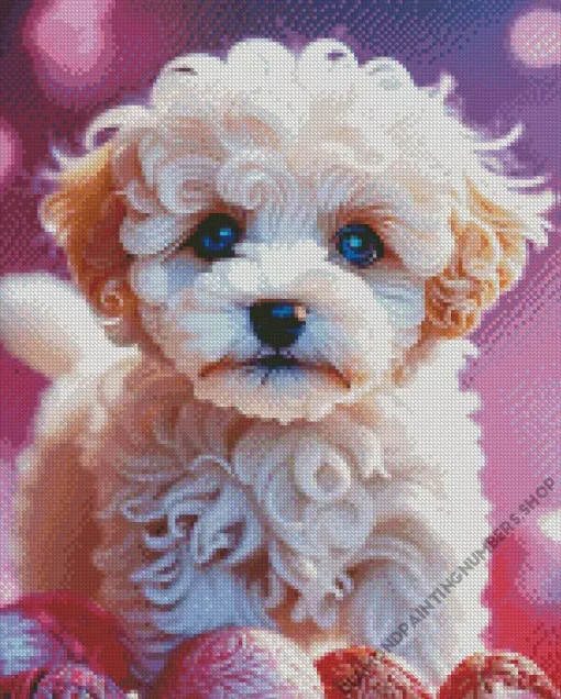 Blue Eyed Maltipoo Diamond Painting