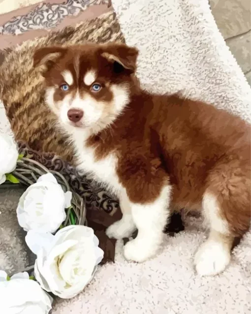 Blue Eyed Pomsky Dog Diamond Painting