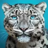 Blue Eyed Snow Leopard Diamond Painting