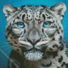 Blue Eyed Snow Leopard Diamond Painting