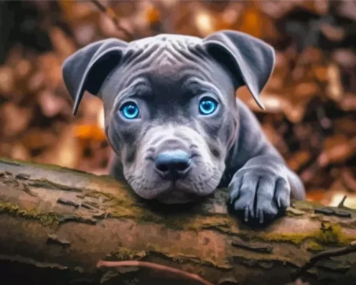 Blue Eyed Staffordshire Bull Terrier Diamond Painting