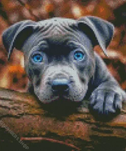 Blue Eyed Staffordshire Bull Terrier Diamond Painting