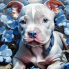 Blue Eyed Staffy Diamond Painting