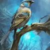 Fascinating Finches - Animal Experiences At Wingham Wildlife Park In KentSource