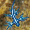 Blue Glaucus Nudibranch Diamond Painting