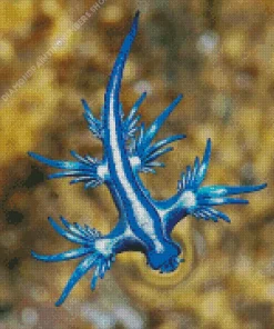 Blue Glaucus Nudibranch Diamond Painting