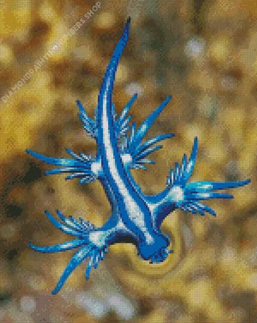 Blue Glaucus Nudibranch Diamond Painting