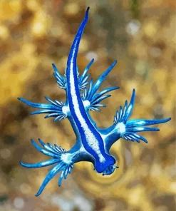 Blue Glaucus Nudibranch Diamond Painting