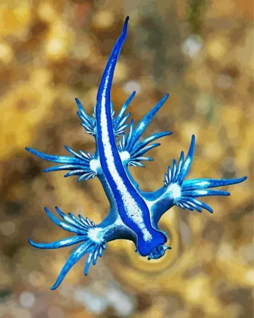 Blue Glaucus Nudibranch Diamond Painting