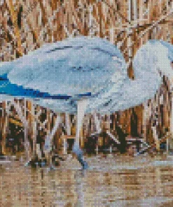 Blue Heron Eating Diamond Painting
