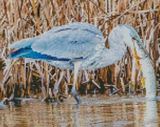 Blue Heron Eating Diamond Painting