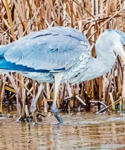 Blue Heron Eating Diamond Painting