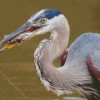 Blue Heron Eating Fish Diamond Painting
