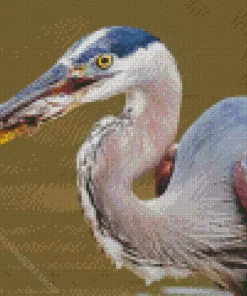 Blue Heron Eating Fish Diamond Painting