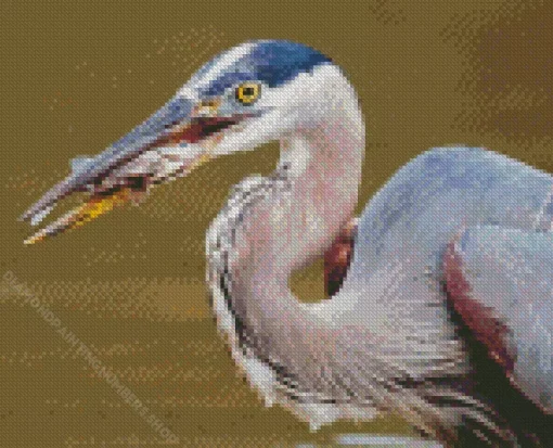 Blue Heron Eating Fish Diamond Painting
