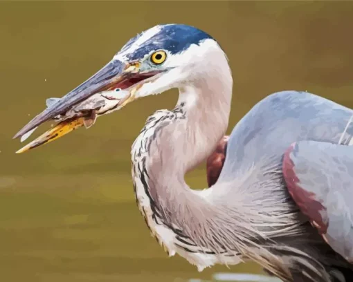 Blue Heron Eating Fish Diamond Painting