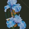Blue Iris Diamond Painting