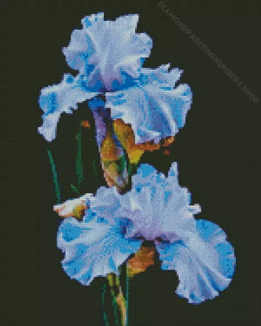 Blue Iris Diamond Painting