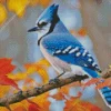 Blue Jay Diamond Painting