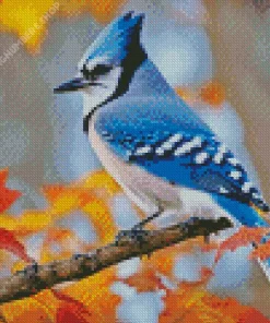 Blue Jay Diamond Painting