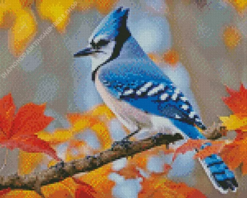 Blue Jay Diamond Painting