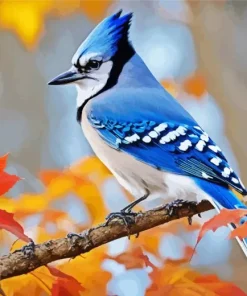 Blue Jay Diamond Painting
