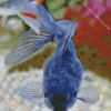Blue Oranda Fish Diamond Painting