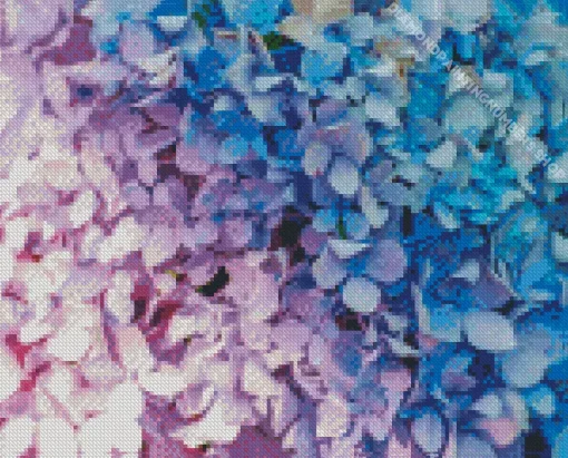 Blue Pink Purple Hydrangea Diamond Painting