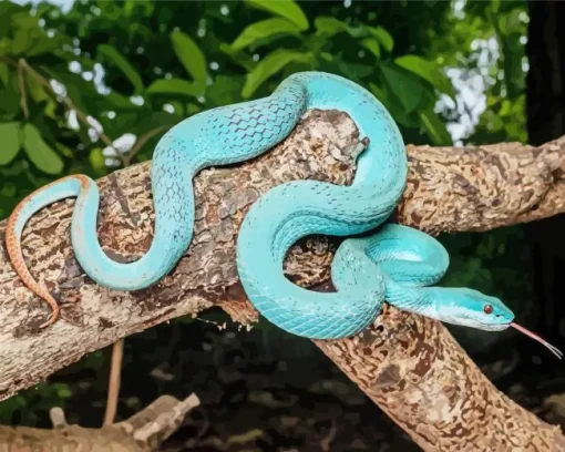 Blue Pit Viper Diamond Painting