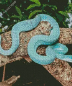 Blue Pit Viper Diamond Painting