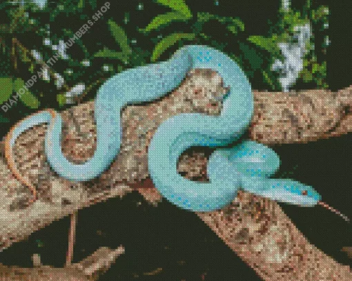Blue Pit Viper Diamond Painting