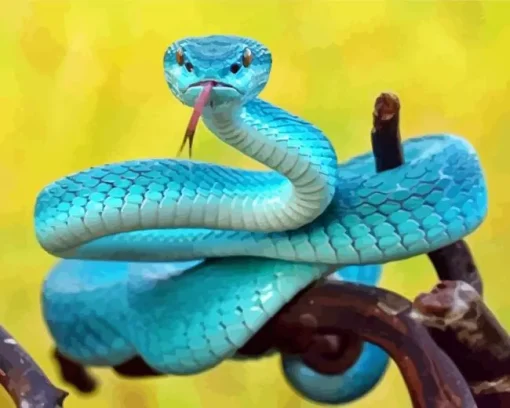 Blue Pit Viper Snake Diamond Painting