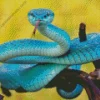Blue Pit Viper Snake Diamond Painting