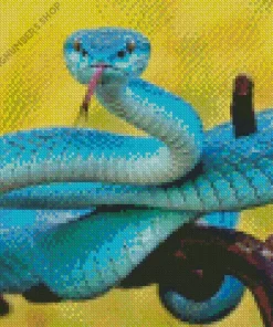 Blue Pit Viper Snake Diamond Painting