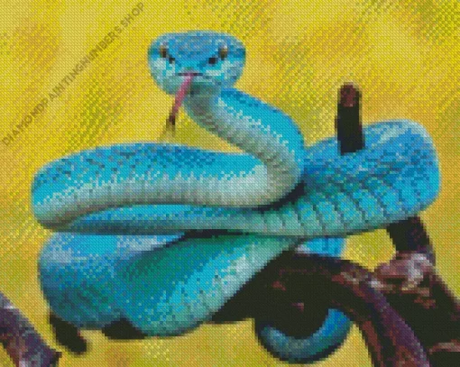 Blue Pit Viper Snake Diamond Painting