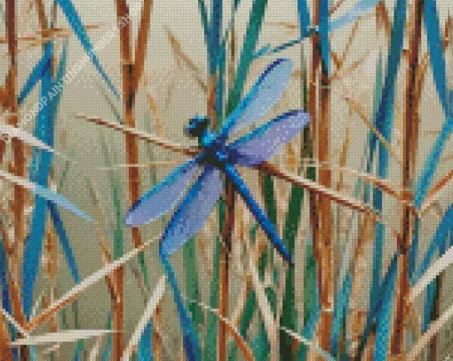 Blue Purple Dragonfly Diamond Painting