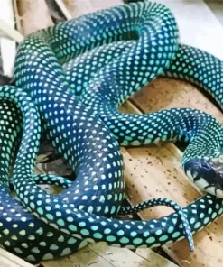 Blue Racer Snake Diamond Painting