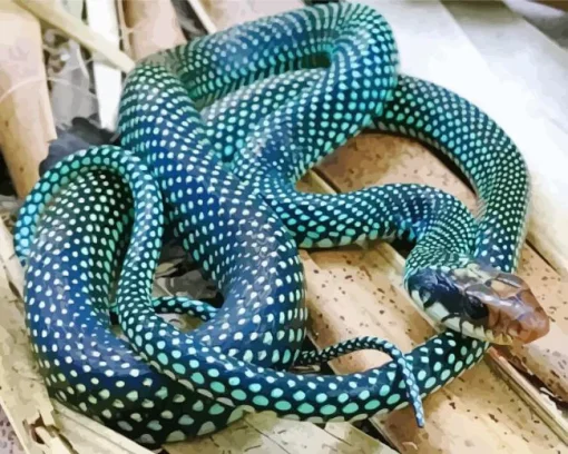 Blue Racer Snake Diamond Painting