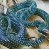 Blue Racer Snake Diamond Painting
