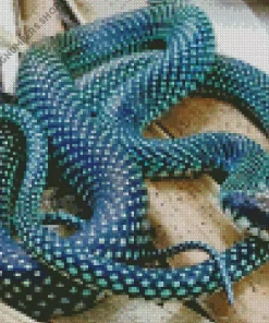 Blue Racer Snake Diamond Painting