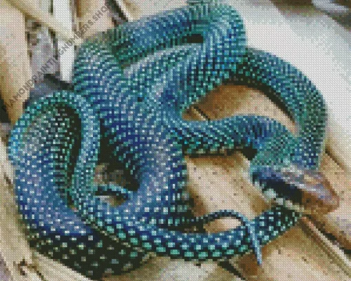 Blue Racer Snake Diamond Painting