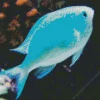 Blue Tropical Fish Diamond Painting