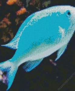 Blue Tropical Fish Diamond Painting